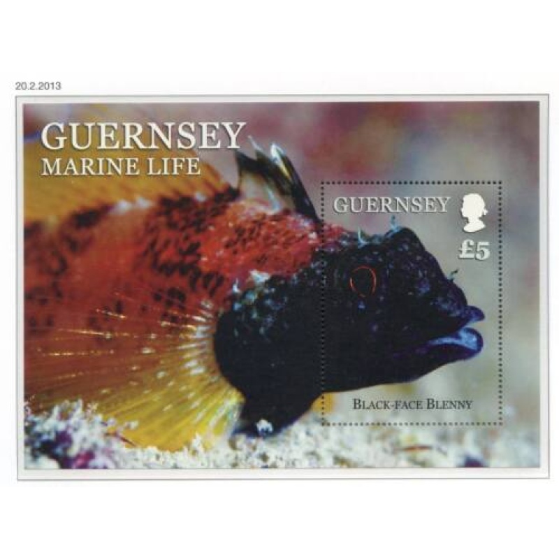 Guernsey 2013 Marine Life Mini Sheet SGMS1456 Unmounted Mint