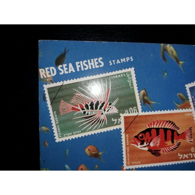 ISRAEL POSTCARD RED SEA FISHES STAMPS PALPHOT UNUSED NO STAMPS