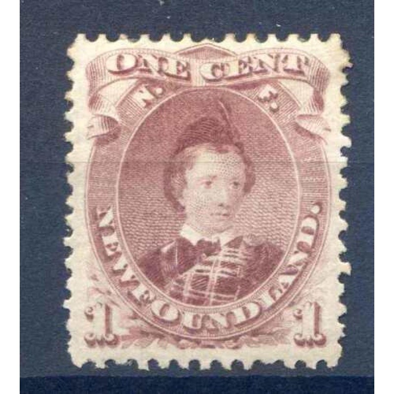 Newfoundland 1c Brown Purple SG35 Mounted Mint