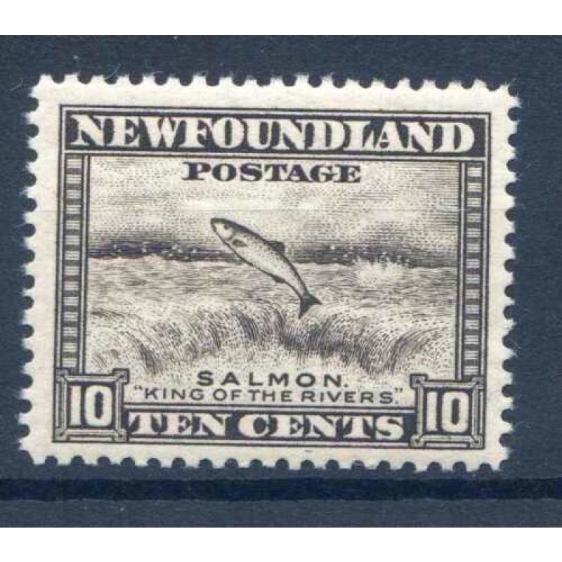 Newfoundland 14c Black  SG216 Unmounted Mint