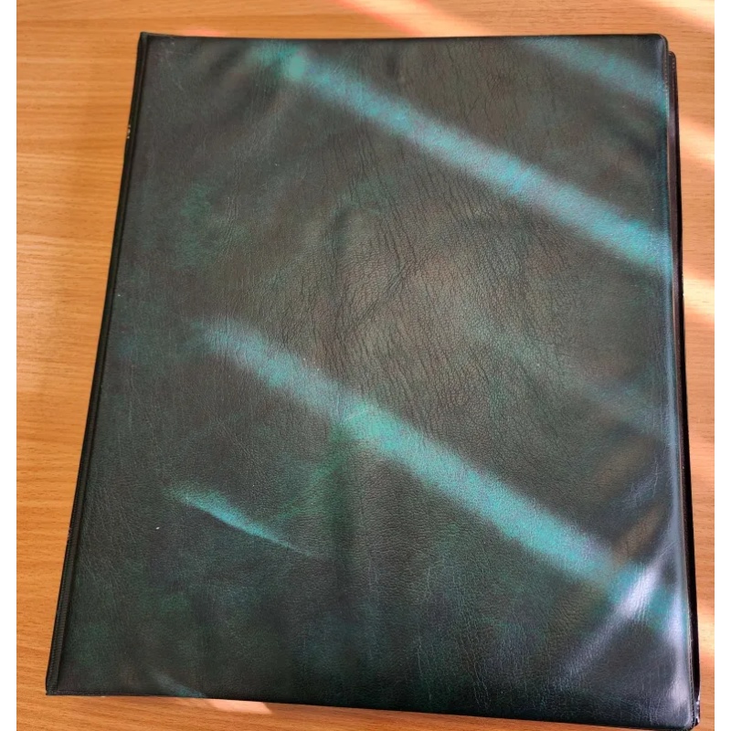 Green 22 ring binder album with 20 pages for booklets etc 4 slots