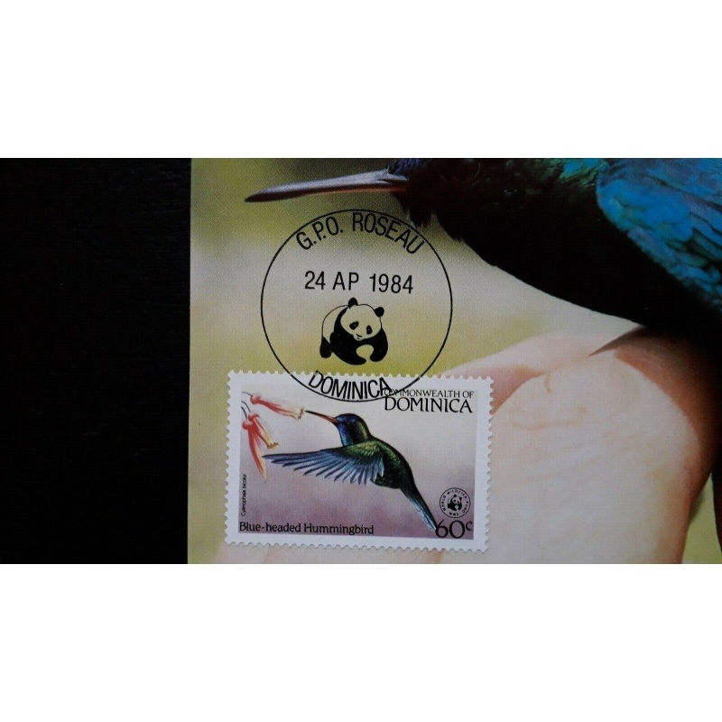 BIRD MAXIMUM CARDS PARROT HUMMINGBIRD WARBLER 4 CARDS DOMINICA WWF