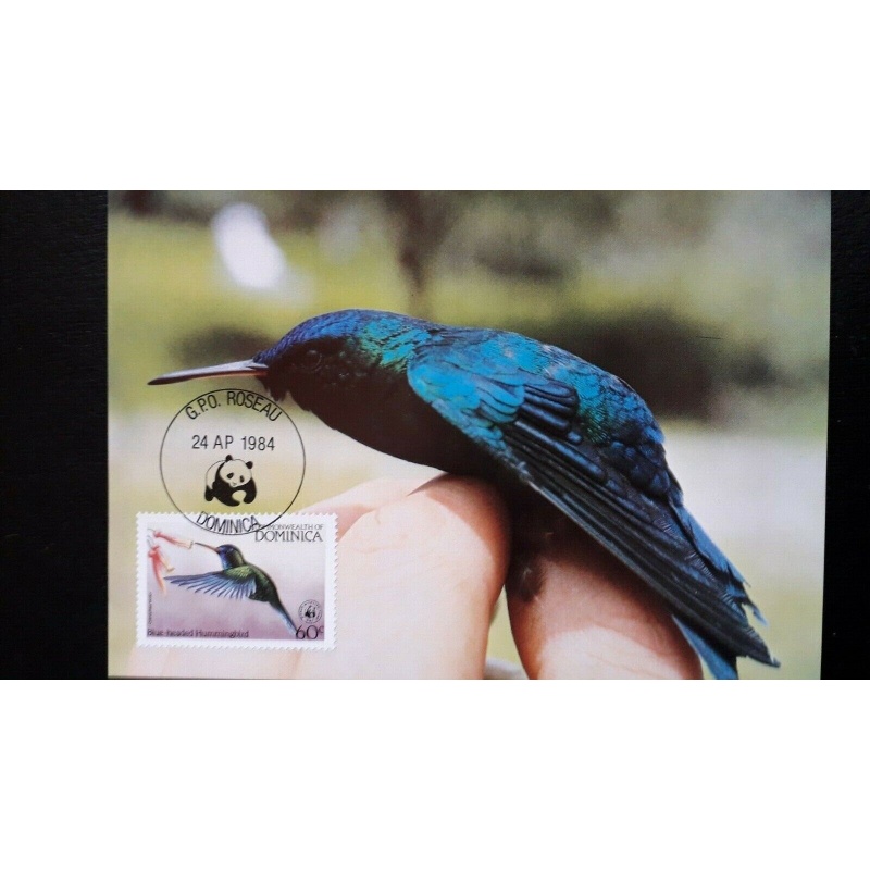 BIRD MAXIMUM CARDS PARROT HUMMINGBIRD WARBLER 4 CARDS DOMINICA WWF