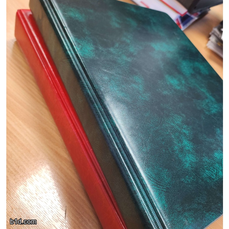 Green 4 ring binder with red slip case and 20+ pages