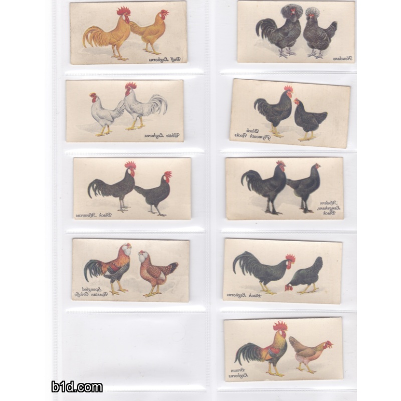 1931 Poultry john player & sons cigarette card lot