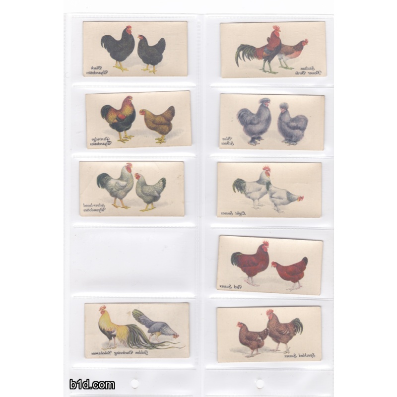 1931 Poultry john player & sons cigarette card lot