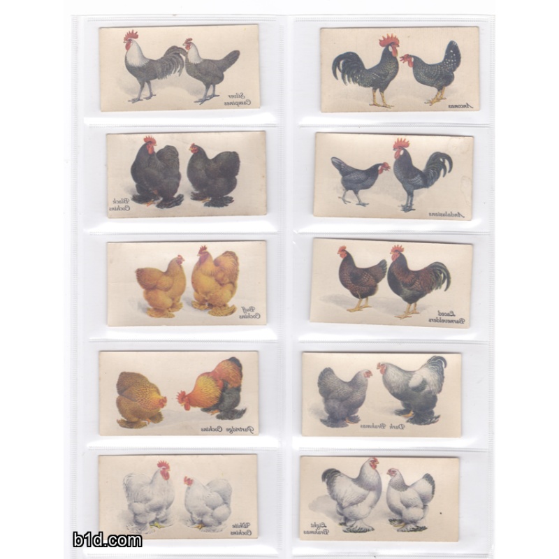 1931 Poultry john player & sons cigarette card lot