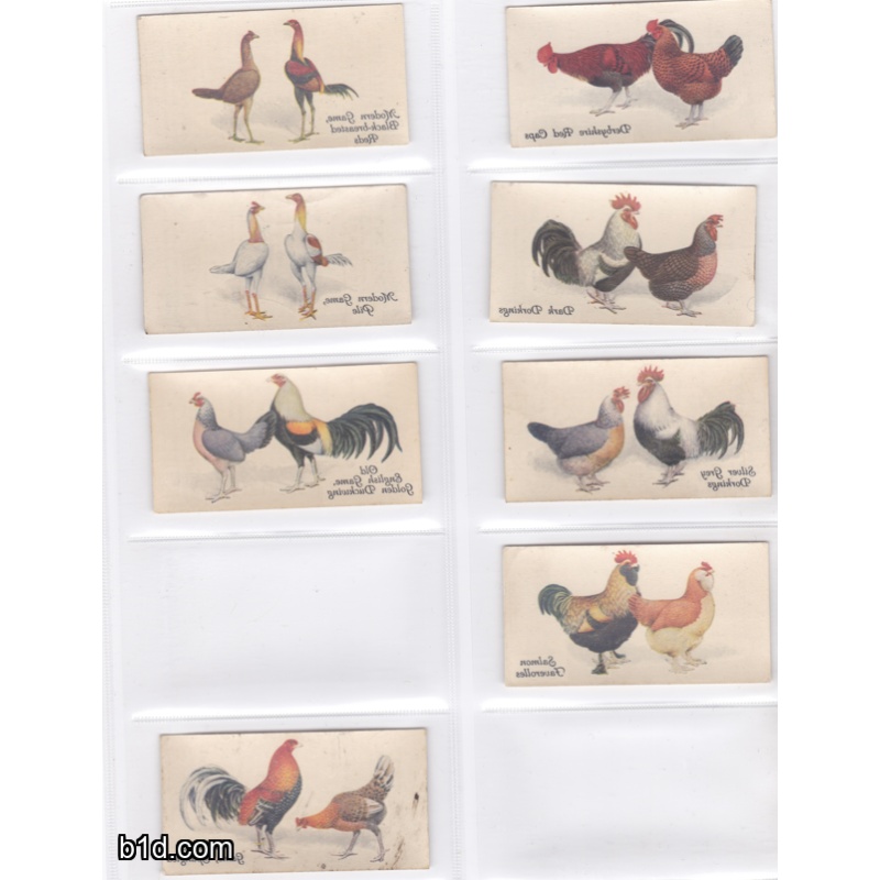 1931 Poultry john player & sons cigarette card lot